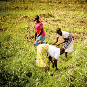 Photos - Projets innovants 2020-02